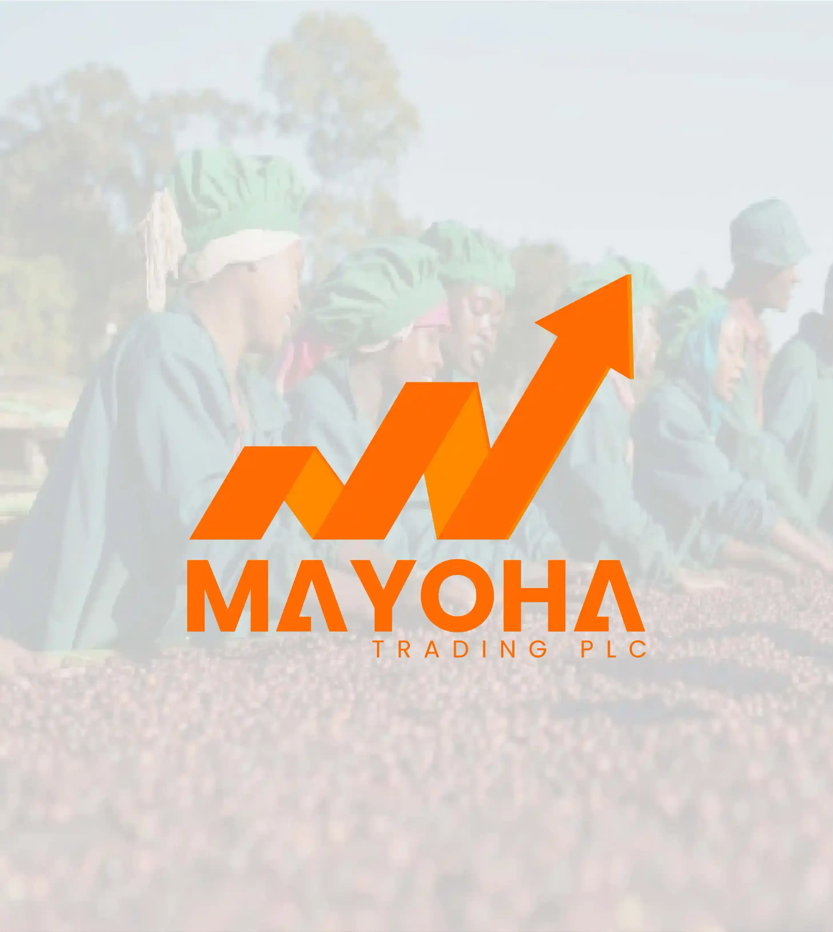 Mayoha Trading Plc logo design - trading company branding